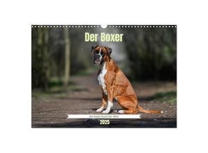 9783383926396 - Der Boxer der beste Hund der Welt (Wandkalender 2025 DIN A3 quer) CALVENDO Monatskalender