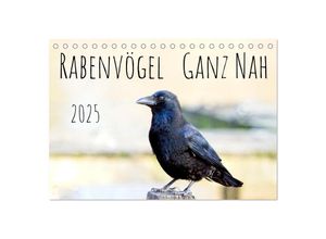 9783383926709 - Rabenvögel - ganz nah (Tischkalender 2025 DIN A5 quer) CALVENDO Monatskalender 9783383926709 - Rabenvögel - ganz nah (Tischkalender 2025 DIN A5 quer) CALVENDO Monatskalender