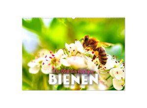 9783383926815 - Die Welt der fleißigen Bienen (Wandkalender 2025 DIN A2 quer) CALVENDO Monatskalender