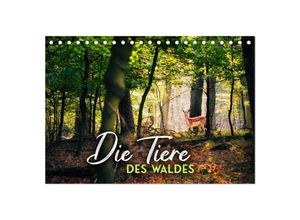 9783383926891 - Die Tiere des Waldes (Tischkalender 2025 DIN A5 quer) CALVENDO Monatskalender