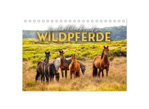 9783383927355 - Freiheitsliebende Wildpferde (Tischkalender 2025 DIN A5 quer) CALVENDO Monatskalender