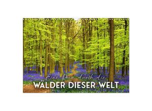 9783383927478 - Eine Reise durch die Wälder dieser Welt (Wandkalender 2025 DIN A3 quer) CALVENDO Monatskalender