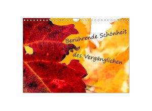 9783383929236 - Berührende Schönheit des Vergänglichen (Wandkalender 2025 DIN A4 quer) CALVENDO Monatskalender