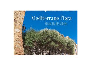 9783383931161 - Mediterrane Flora - Pflanzen des Südens (Wandkalender 2025 DIN A2 quer) CALVENDO Monatskalender