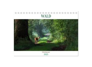 9783383931246 - WALD Erholung pur (Tischkalender 2025 DIN A5 quer) CALVENDO Monatskalender