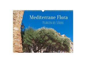 9783383931505 - Mediterrane Flora - Pflanzen des Südens (Wandkalender 2025 DIN A3 quer) CALVENDO Monatskalender