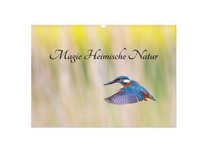 9783383931574 - Magie Heimische Natur (Wandkalender 2025 DIN A3 quer) CALVENDO Monatskalender