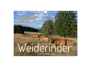 9783383931680 - Weiderinder im Frankenwald (Wandkalender 2025 DIN A4 quer) CALVENDO Monatskalender