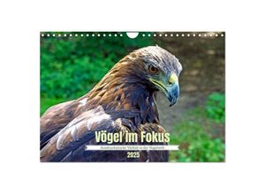 9783383933431 - Vögel im Fokus - Ausdrucksstarke Vielfalt in der Vogelwelt (Wandkalender 2025 DIN A4 quer) CALVENDO Monatskalender