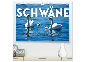 9783383933585 - Schwäne - Prachtvolle Federkleider (hochwertiger Premium Wandkalender 2025 DIN A2 quer) Kunstdruck in Hochglanz