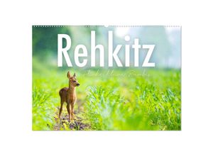 9783383933660 - Rehkitz - Flinke kleine Bambis (Wandkalender 2025 DIN A2 quer) CALVENDO Monatskalender