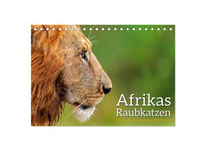 9783383933899 - Afrikas Raubkatzen in eindrucksvollen Portraits (Tischkalender 2025 DIN A5 quer) CALVENDO Monatskalender