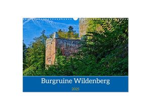 9783383935442 - Burg Wildenberg (Wandkalender 2025 DIN A3 quer) CALVENDO Monatskalender