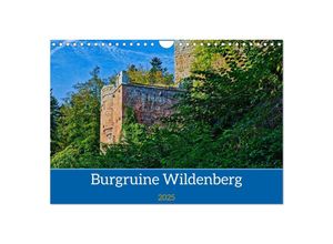 9783383935664 - Burg Wildenberg (Wandkalender 2025 DIN A4 quer) CALVENDO Monatskalender