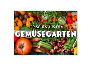 9783383935893 - Frisches aus dem Gemüsegarten (Wandkalender 2025 DIN A2 quer) CALVENDO Monatskalender