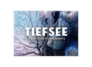 9783383938290 - Tiefsee - Ein Abenteuer ins Unbekannte (Wandkalender 2025 DIN A3 quer) CALVENDO Monatskalender