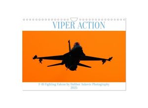 9783383939068 - VIPER ACTION - F-16 FIGHTING FALCON (Wandkalender 2025 DIN A4 quer) CALVENDO Monatskalender