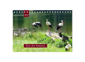 9783383939983 - Zeit der Störche (Tischkalender 2025 DIN A5 quer) CALVENDO Monatskalender