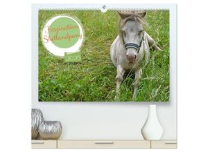 9783383943041 - Faszination Shetlandpony (hochwertiger Premium Wandkalender 2025 DIN A2 quer) Kunstdruck in Hochglanz