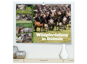 9783383943058 - Faszination Wildpferdefang in Dülmen (hochwertiger Premium Wandkalender 2025 DIN A2 quer) Kunstdruck in Hochglanz