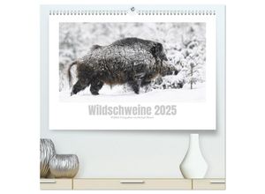 9783383944017 - Wildschweine - Wildlife Fotografien (hochwertiger Premium Wandkalender 2025 DIN A2 quer) Kunstdruck in Hochglanz