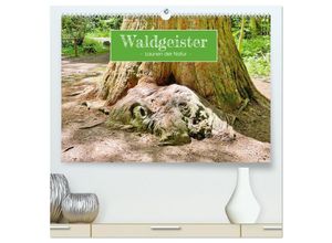 9783383944109 - Waldgeister - Launen der Natur (hochwertiger Premium Wandkalender 2025 DIN A2 quer) Kunstdruck in Hochglanz