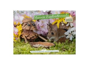 9783383944727 - Mausis Zapfenfreunde (Wandkalender 2025 DIN A3 quer) CALVENDO Monatskalender