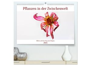 9783383944918 - Pflanzen in der Zwischenwelt (hochwertiger Premium Wandkalender 2025 DIN A2 quer) Kunstdruck in Hochglanz