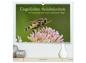 9783383945649 - Ungeliebte Schönheiten - die faszinierende Welt unserer heimischen Fliegen (hochwertiger Premium Wandkalender 2025 DIN A2 quer) Kunstdruck in Hochgla