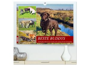 9783383945656 - Beste Buddys (hochwertiger Premium Wandkalender 2025 DIN A2 quer) Kunstdruck in Hochglanz