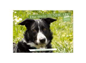 9783383946035 - Das coole Hunde ABC (Wandkalender 2025 DIN A2 quer) CALVENDO Monatskalender