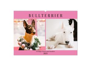 9783383946080 - Bullterrier Freudiges Wesen und Charakter (Wandkalender 2025 DIN A2 quer) CALVENDO Monatskalender