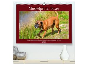 9783383946165 - Muskelprotz Boxer (hochwertiger Premium Wandkalender 2025 DIN A2 quer) Kunstdruck in Hochglanz