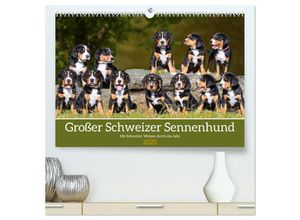 9783383946448 - Großer Schweizer Sennenhund - Mit Schweizer Welpen durch das Jahr (hochwertiger Premium Wandkalender 2025 DIN A2 quer) Kunstdruck in Hochglanz