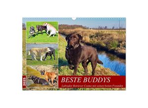 9783383946967 - Beste Buddys (Wandkalender 2025 DIN A3 quer) CALVENDO Monatskalender