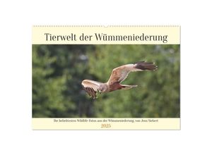 9783383946981 - Tierwelt der Wümmeniederung (Wandkalender 2025 DIN A2 quer) CALVENDO Monatskalender