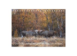 9783383947124 - Der Elch - König der skandinavischen Wälder (Tischkalender 2025 DIN A5 quer) CALVENDO Monatskalender