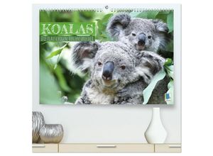 9783383947186 - Koalas die flauschigen Herzensbrecher (hochwertiger Premium Wandkalender 2025 DIN A2 quer) Kunstdruck in Hochglanz