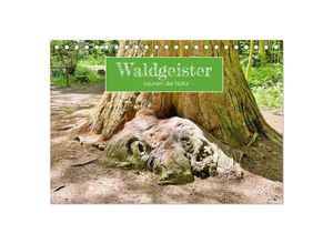 9783383947476 - Waldgeister - Launen der Natur (Tischkalender 2025 DIN A5 quer) CALVENDO Monatskalender