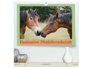 9783383949234 - Faszination Pferdefreundschaft (hochwertiger Premium Wandkalender 2025 DIN A2 quer) Kunstdruck in Hochglanz