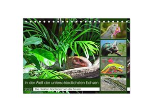 9783383949333 - In der Welt der unterschiedlichsten Echsen (Tischkalender 2025 DIN A5 quer) CALVENDO Monatskalender