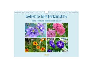 9783383949470 - Geliebte Kletterkünstler (Wandkalender 2025 DIN A4 quer) CALVENDO Monatskalender