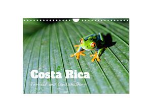 9783383949708 - Costa Rica - Tierwelt und Landschaften (Wandkalender 2025 DIN A4 quer) CALVENDO Monatskalender