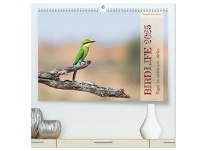 9783383949814 - Birdlife - Vögel im südlichen Afrika (hochwertiger Premium Wandkalender 2025 DIN A2 quer) Kunstdruck in Hochglanz