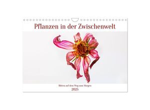 9783383950148 - Pflanzen in der Zwischenwelt (Wandkalender 2025 DIN A4 quer) CALVENDO Monatskalender