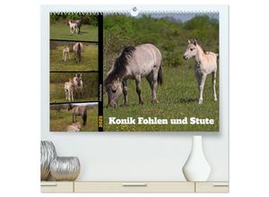 9783383952968 - Mutterliebe - Konik Fohlen und Stute (hochwertiger Premium Wandkalender 2025 DIN A2 quer) Kunstdruck in Hochglanz