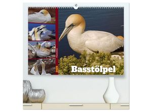 9783383953101 - Faszination Basstölpel (hochwertiger Premium Wandkalender 2025 DIN A2 quer) Kunstdruck in Hochglanz