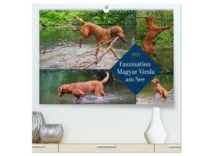 9783383953132 - Faszination Magyar Vizsla am See (hochwertiger Premium Wandkalender 2025 DIN A2 quer) Kunstdruck in Hochglanz