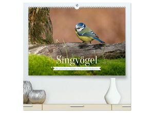 9783383954023 - SINGVÖGEL - Die prächtigen Sänger in schönem Ambiente (hochwertiger Premium Wandkalender 2025 DIN A2 quer) Kunstdruck in Hochglanz