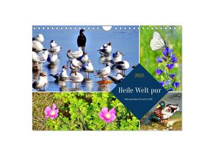 9783383954429 - Heile Welt pur - Naturparadies Kurisches Haff (Wandkalender 2025 DIN A4 quer) CALVENDO Monatskalender